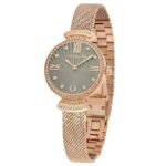 Cerruti Stainless Steel Rose Gold Women Watch CECIWLH2205502