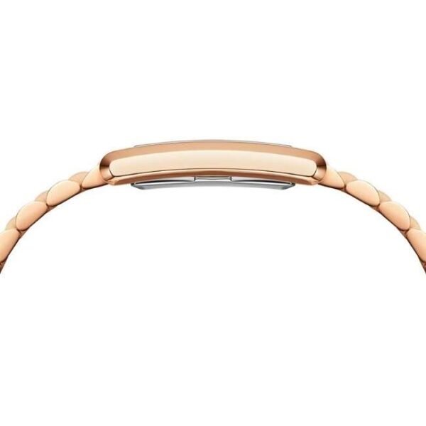 Daniel Wellington Rose Gold Stainless Steel Women Watch DW00100699K