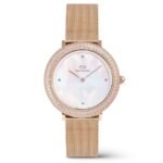 Daniel Wellington Rose Gold Stainless Steel Women Watch DW00100823K