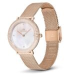 Daniel Wellington Rose Gold Stainless Steel Women Watch DW00100823K