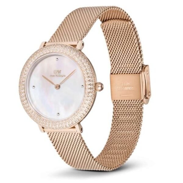 Daniel Wellington Rose Gold Stainless Steel Women Watch DW00100823K