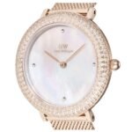 Daniel Wellington Rose Gold Stainless Steel Women Watch DW00100823K
