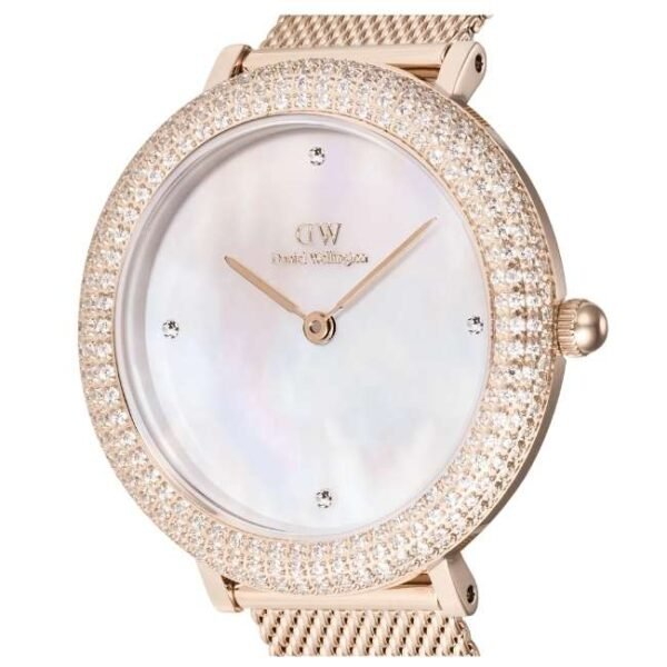 Daniel Wellington Rose Gold Stainless Steel Women Watch DW00100823K