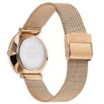 Daniel Wellington Rose Gold Stainless Steel Women Watch DW00100823K