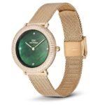 Daniel Wellington Rose Gold Stainless Steel Women Watch DW00100824K