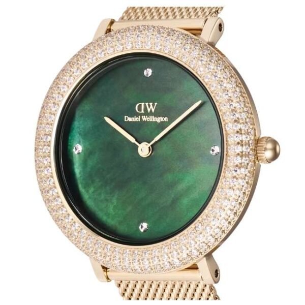 Daniel Wellington Rose Gold Stainless Steel Women Watch DW00100824K