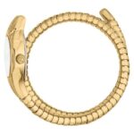 Just Cavalli Women Gold Color Watch JC1L354M0025