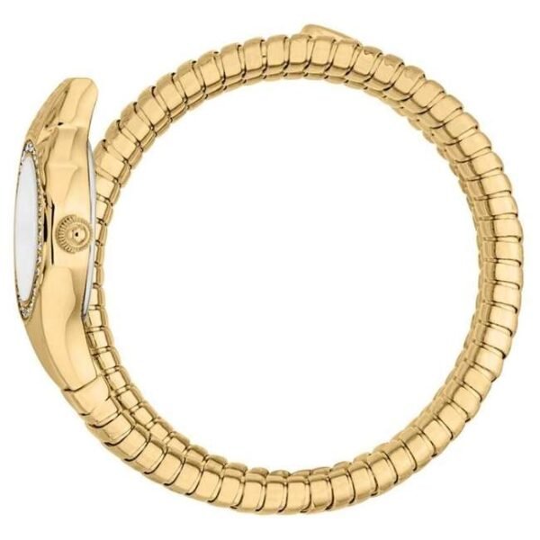 Just Cavalli Women Gold Color Watch JC1L355M0025