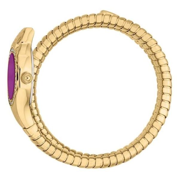 Just Cavalli Women Gold Color Watch JC1L355M0035