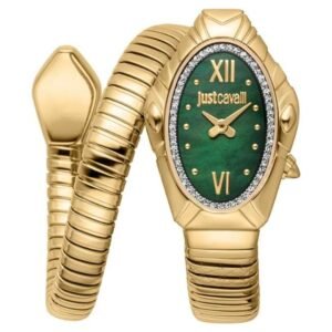 Just Cavalli Women Gold Color Watch JC1L357M0035