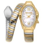 Just Cavalli Women Gold Color Watch JC1L357M0055