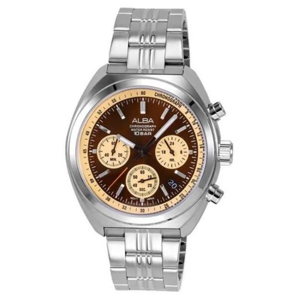 Alba Silver Stainless Steel Men Watch At3K07X1