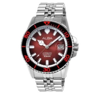 Alba Silver Stainless Steel Men Watch Au4055X1