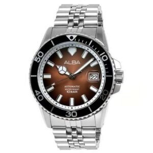 Alba Silver Stainless Steel Men Watch Au4057X1