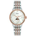 Rado Stainless Steel, Titanium Multi Women Watch R22882923