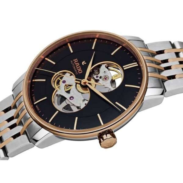 Rado  Stainless Steel, Titanium Multi Men Watch R22894163