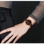 Rado  Ceramic Stainless Steel Brown Unisex Watch R30036752