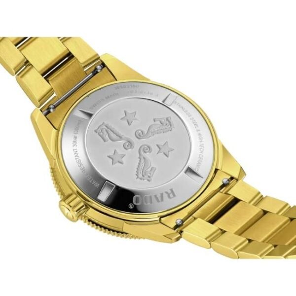 Rado  Stainless Steel PVD Gold Men Watch R32136323