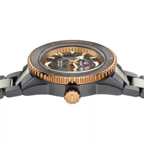 Rado  Ceramic, Titanium Grey Men Watch R32148162