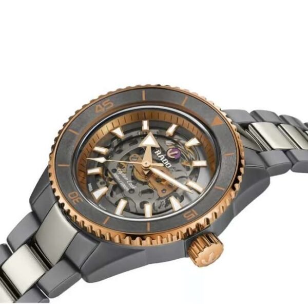 Rado  Ceramic, Titanium Grey Men Watch R32148162