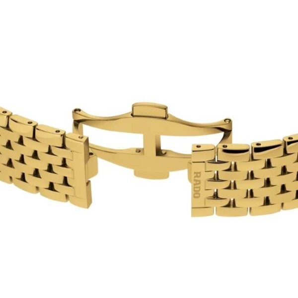 Rado Stainless Steel Gold Unisex Watch R48914703