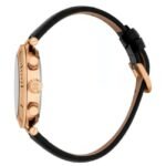 Roberto Cavalli
Ritmo Citizen Movement JS25 Chronograph Men 43 mm RC5G128L0035