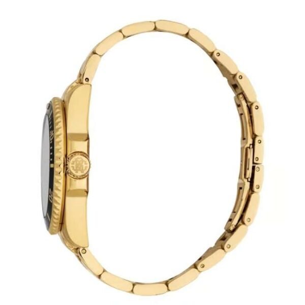 Roberto Cavalli
Marte Citizen Movement 2315 Date Men 42 mm RC5G129M0075