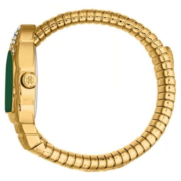 Roberto CavalliAurora AutomaticWomen 24 mm RC5L133M0045