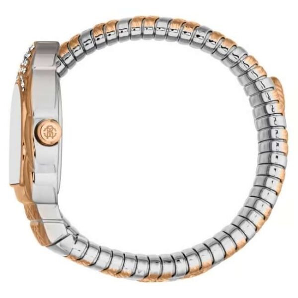 Roberto Cavalli
Aurora AutomaticWomen 24 mm RC5L133M0075