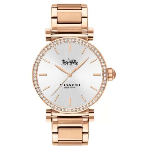 Coach Stainless Steel Gold Women Watch 14503580