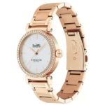 Coach Stainless Steel Gold Women Watch 14503580