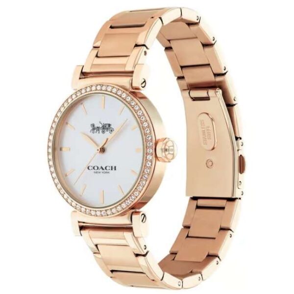Coach Stainless Steel Gold Women Watch 14503580