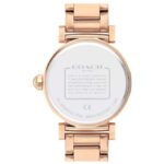 Coach Stainless Steel Gold Women Watch 14503580