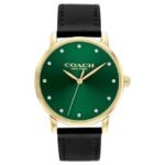 Coach  Leather Black Women Watch 14503972