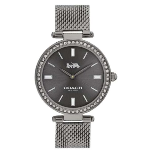 Coach Stainless Steel Grey Women Watch 14504099