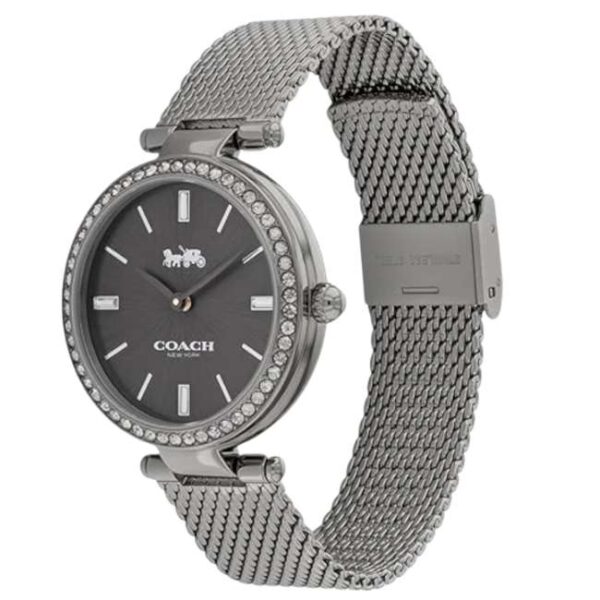 Coach Stainless Steel Grey Women Watch 14504099