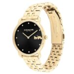 Coach Stainless Steel Gold Women Watch 14504291