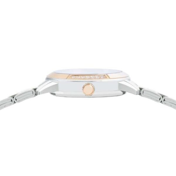 Alba Dual-Tone Stainless Steel Women’s Watch AH7EM2X1