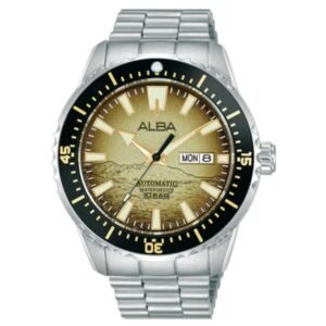 Alba Stainless Steel Desert Men Watch AL4733X1