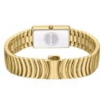 cerruti stainless steel golden women women watch ceciwlg0086204