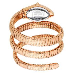 Just Cavalli Aurela Women Analog Watch 22.6 mm (JC1L374M1045).