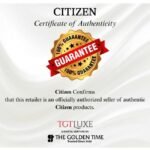 citizen stainless steel silver men watch nj0191-83x