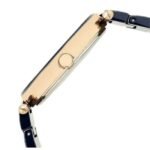 anne klien ceramic blue women watch ntak1018rgnv