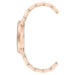 anne klien acrylic multicolor women watch ntak1412pkrg