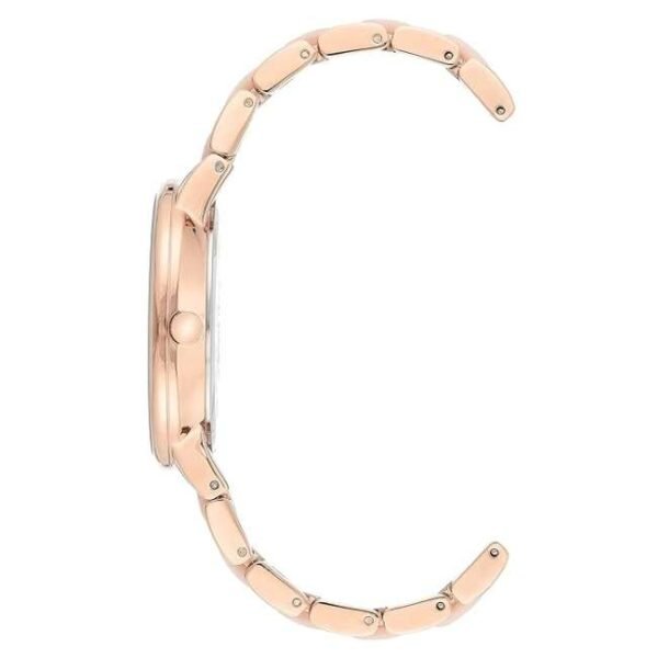 anne klien acrylic multicolor women watch ntak1412pkrg