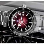 Rado Silver Women Watch 30 m 1