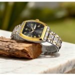 Daniel Hechter Stainless Steel Two Tone Men Watch DHM1025-11