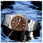 Daniel Hechter Stainless Steel Brown Men Watch DHM1027-44