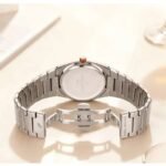 Daniel Hechter Stainless Steel Brown Men Watch DHM1027-44