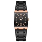 Daniel Hechter Stainless Steel Black Men Watch DHM1029-22